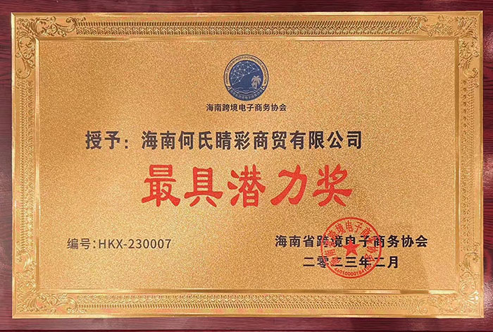 2023.2.8 海南优发国际睛彩商贸有限公司被海南省跨境电子商务协会授予“最具潜力奖”.jpg